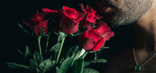 Les 10 meilleurs types de fleurs et de plantes à offrir à un homme